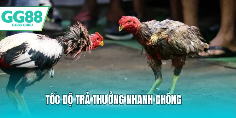 Tốc độ trả thưởng nhanh chóng